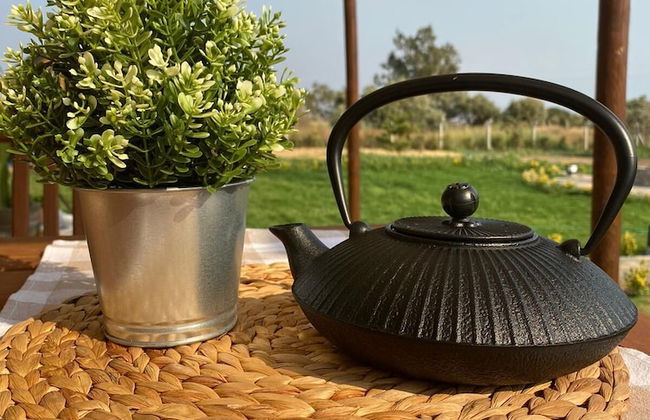 Radika Datca - Photo 20