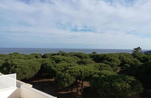 Casa Bambu, Paraiso na Terra - Foto 8