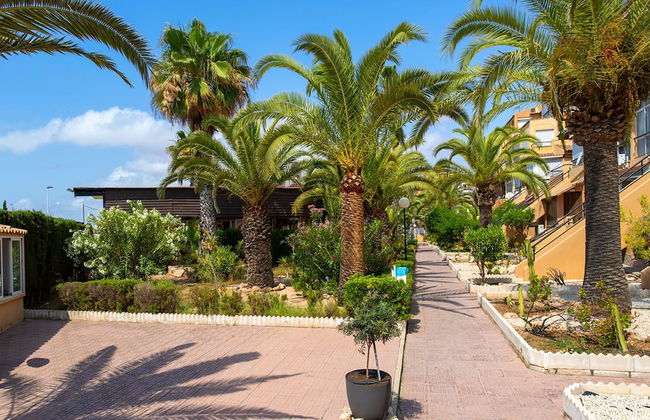 Perseo in Torrevieja - Foto 34