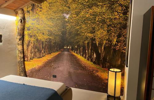 Villa Contessa Massari Ferrara - Foto 33