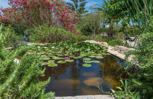 Casa Angela - Villa With Private Pool In Capdepera - Photo 72