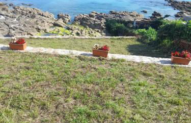 Casiña Palmira - Foto 29