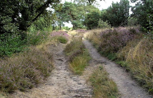 Family Villa + Sauna & Sunroom - Foto 50