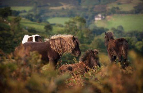 The House In The Hills - Foto 28