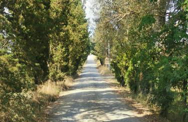 Tognazzi Casa Vacanze - Casa Dante - Foto 57