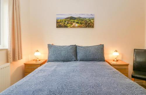 The Turbles - Wagtail - Foto 11