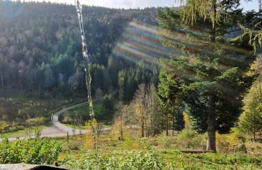 Gîte du Mont d'Air 4 étoiles, au cœur du massif vosgien, bain nordique - Foto 19
