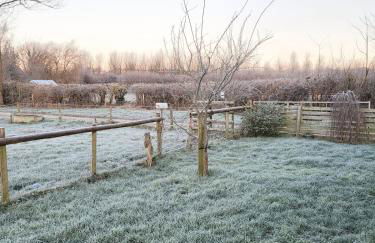 Sunrise Shepherd's Hut - Photo 8