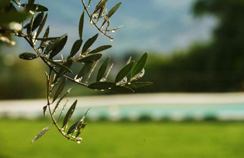 Borgo La Morra - Photo 9