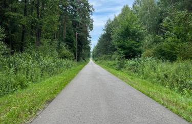 Andrzejówka - Foto 12