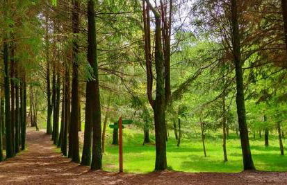 Miranda Village House - Foto 32