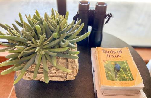 Impressive Modern Cabin with Beautiful Interior and Exterior in Ingram, Texas - Foto 28