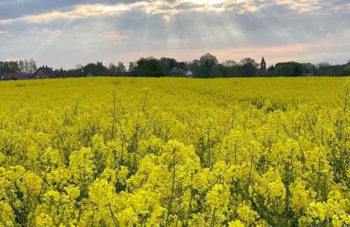 VILLA MON BIJOU _ OG_Fewo - Foto 19