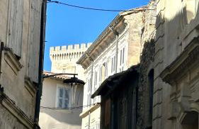 Gite AVIGNON BOUGAINVILLIER - Foto 25