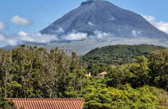 Alma do Pico - Nature Residence - Photo 50