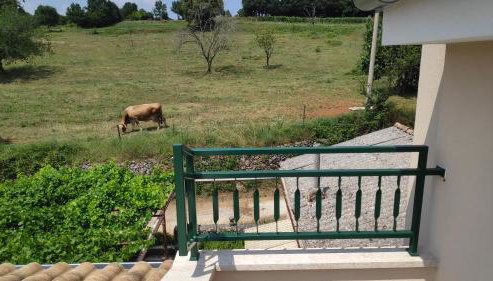 Perina hiža - Foto 2