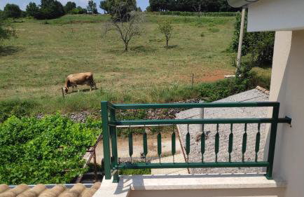 Perina hiža - Foto 2