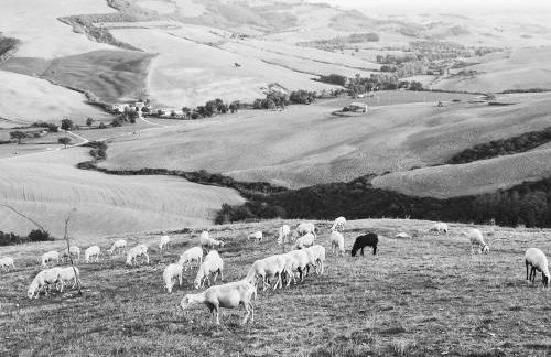 Agriturismo Collomici - Foto 8