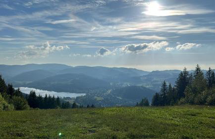 Ferienwohnung Schwarzwaldgrün - Foto 27