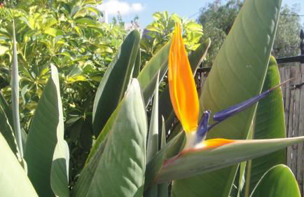 Casa El Pino - Foto 24