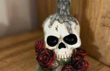 Vila David - Foto 25