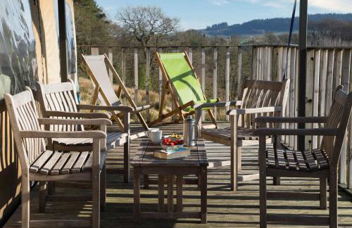 Curlew - Bleasdale - Foto 22