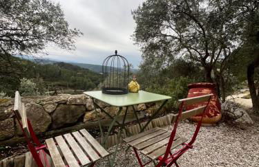 Aix-en-Provence, Bastidon provençal plein cœur de la forêt avec vue unique - Foto 16