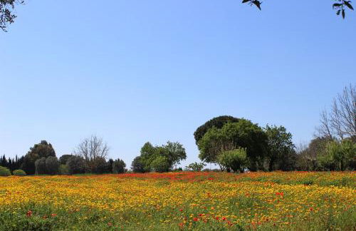 Casina Bardoscia Relais - Foto 99