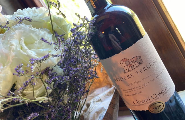 Podere Terreno alla Via della Volpaia - Foto 31