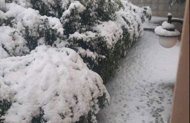 Fella Chalkida - Foto 42