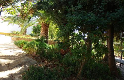 Ninho Da Poupa - Foto 46