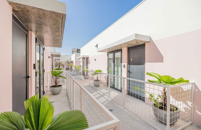 w Classy 1BR in Casco Antiguo - Photo 2