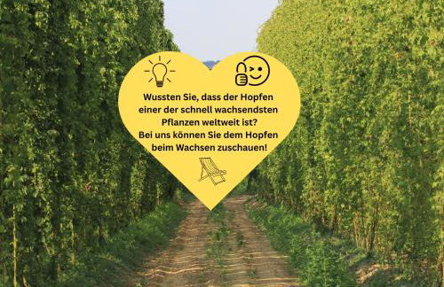 Holledau-Apartments - FeWo bis 5 Pers - getrennte Betten möglich - Vollausstattung - 24h Checkin - wöchentl Reinigung u Wäschewechsel - Waschmaschine u Trockner - WLAN - Minibar - XXL Parkplätze - Garten - ruhige Lage - Foto 53