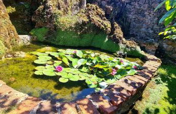 Las Parientucas - Foto 21