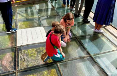 Villa Michelangelo - Foto 45