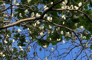 Luxury Attic Studio, heart of Uppermill, Saddleworth - Foto 23