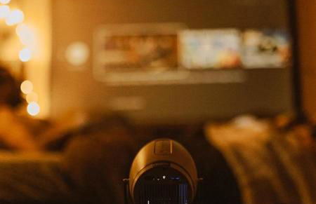 Homnest - Clairiere des Animaux - 1h de Toulouse - Photo 24