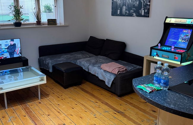 1br-wifi-freesnacks-freeparking-petsok-retroarcade - Photo 4