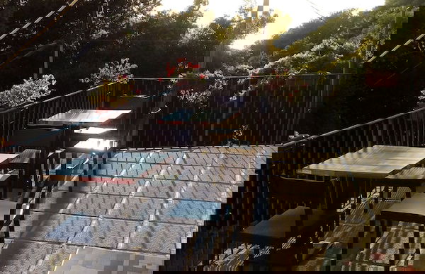 Lecci Di Soviore - Foto 14