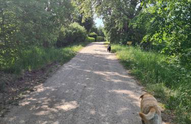 Oliwkowe Jerzykowo -klimatyzacja - Photo 20