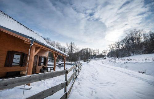 Szalejówka Domki - Foto 30