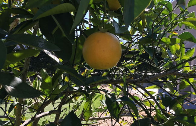 GetAways at Vista Mirage - Foto 22