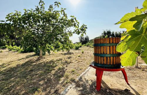 Can Bagudanch CostaBravaSi - Foto 9