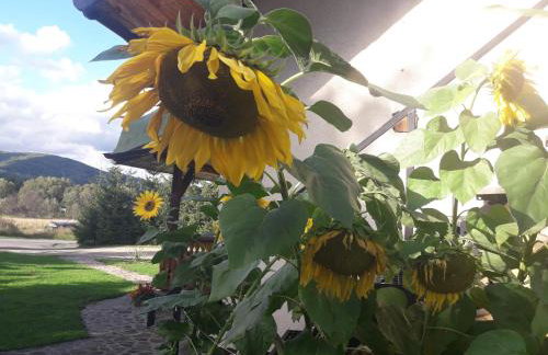 Mala Chatka - Photo 51