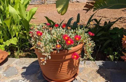 House of Polymnia - Photo 65