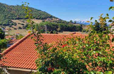 Ξενώνας Ελένη - Photo 10