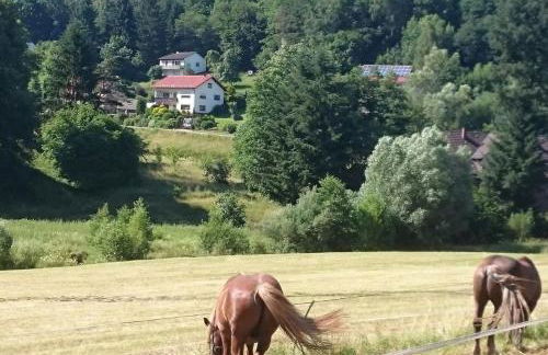 Ferienwohnung Haus Patry - Photo 17