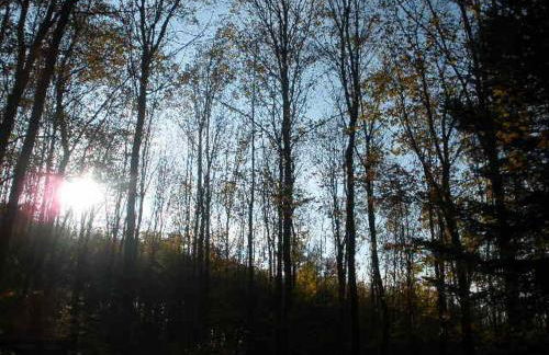 Ferienwohnung Irmgard und Ferienwohnung Gerlinde - Foto 34