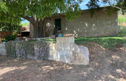 Monte Astili - Foto 36