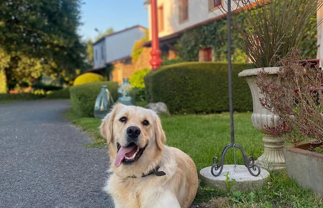 A Painza Aldea Rural - Photo 15